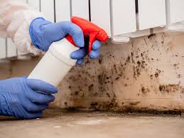 Best HVAC Mold Inspection and Cleaning  in Booneville, AR